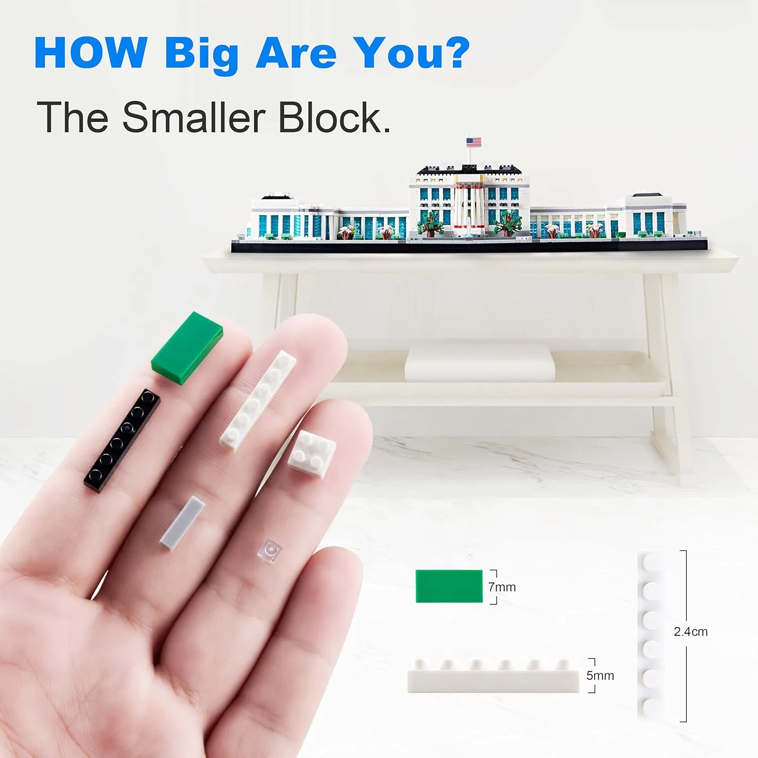Architecture Series Mini Bricks for Adults and Teens,US Capital White House Construction Set,Micro Blocks Set,3520 PCS,Landmark Model