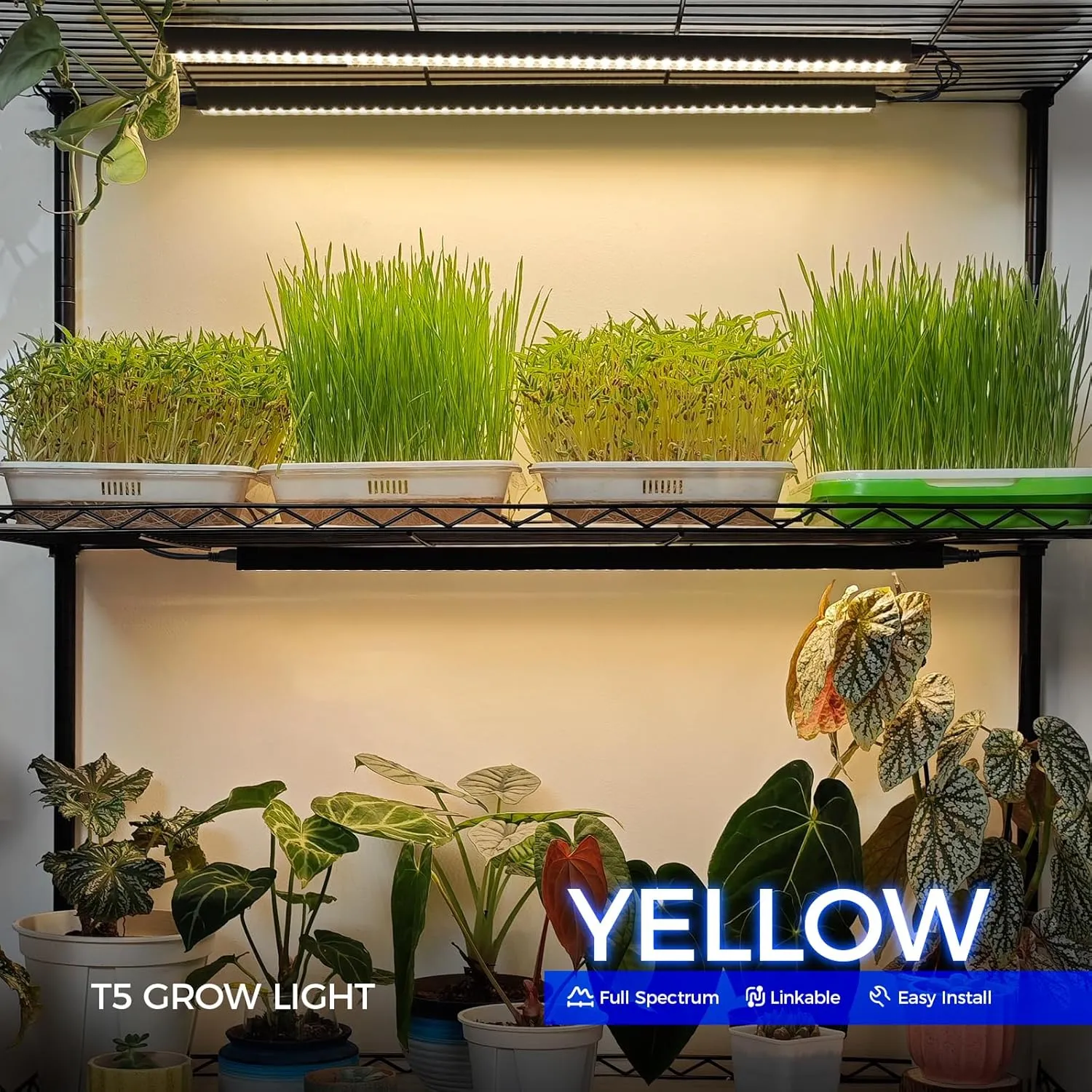 Barrina T5 Grow Lights for Indoor Plants, 2FT 40W (4 X 10W) Magnetic Installation, Full Spectrum Grow Light Strip with Individual Switch, Grow Lamp with Black Cover, Plug and Play, Yellow, 4 Packs