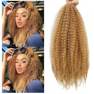 Dansama 24 Inch Marley Twist Braiding Hair, Afro Kinky Marley Hair for Faux Locs Crochet Hair Hair Extensions (24 Inch (Pack of 3), #27)