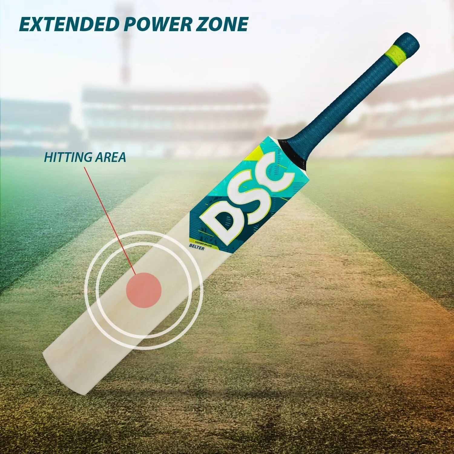 DSC Kashmir Willow Cricket Bat