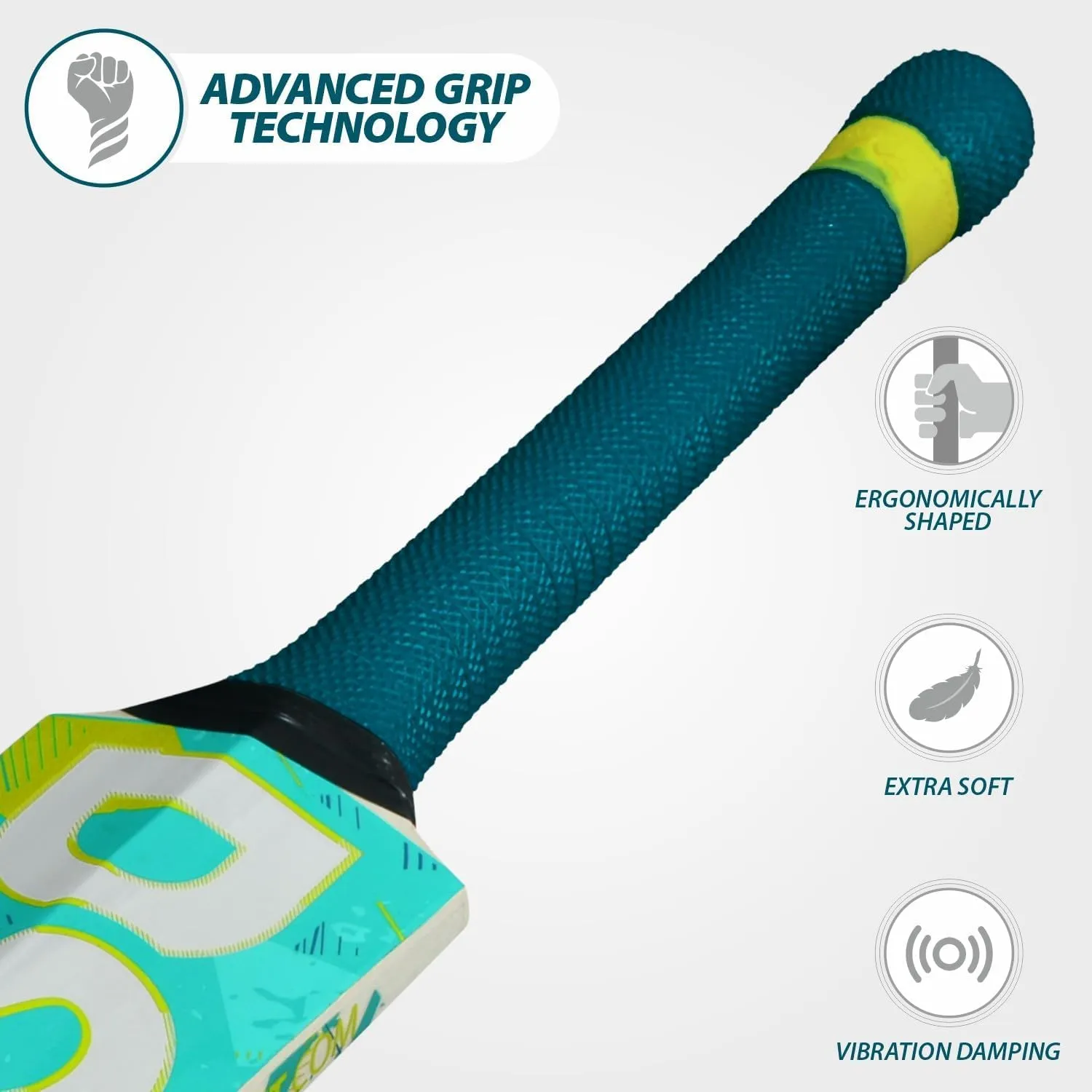 DSC Kashmir Willow Cricket Bat