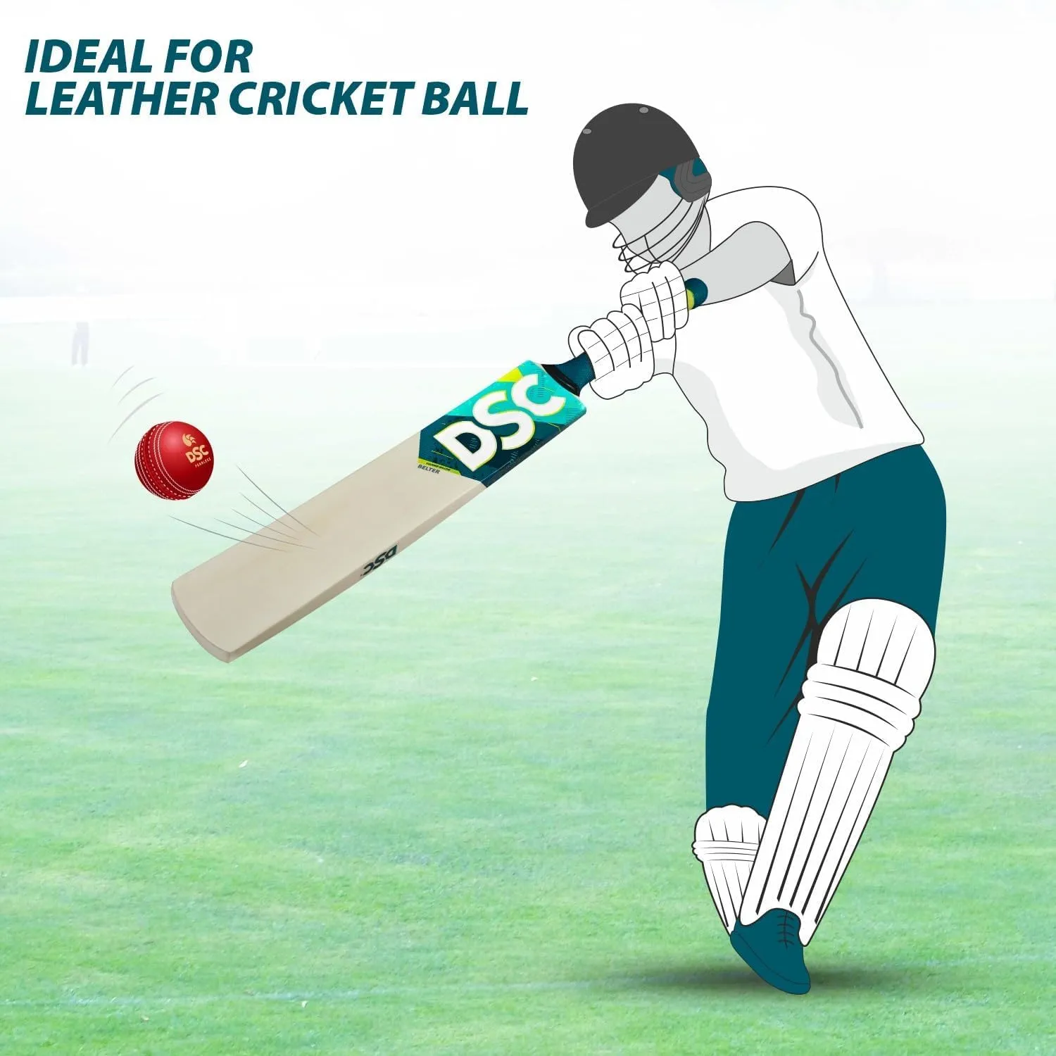 DSC Kashmir Willow Cricket Bat