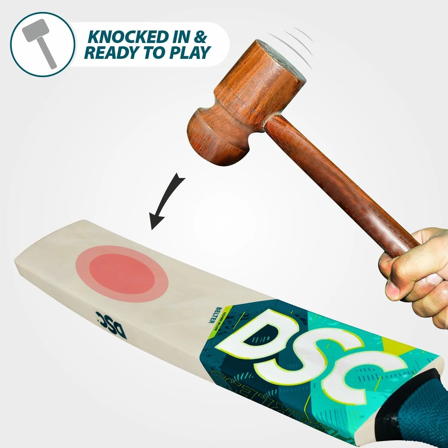 DSC Kashmir Willow Cricket Bat