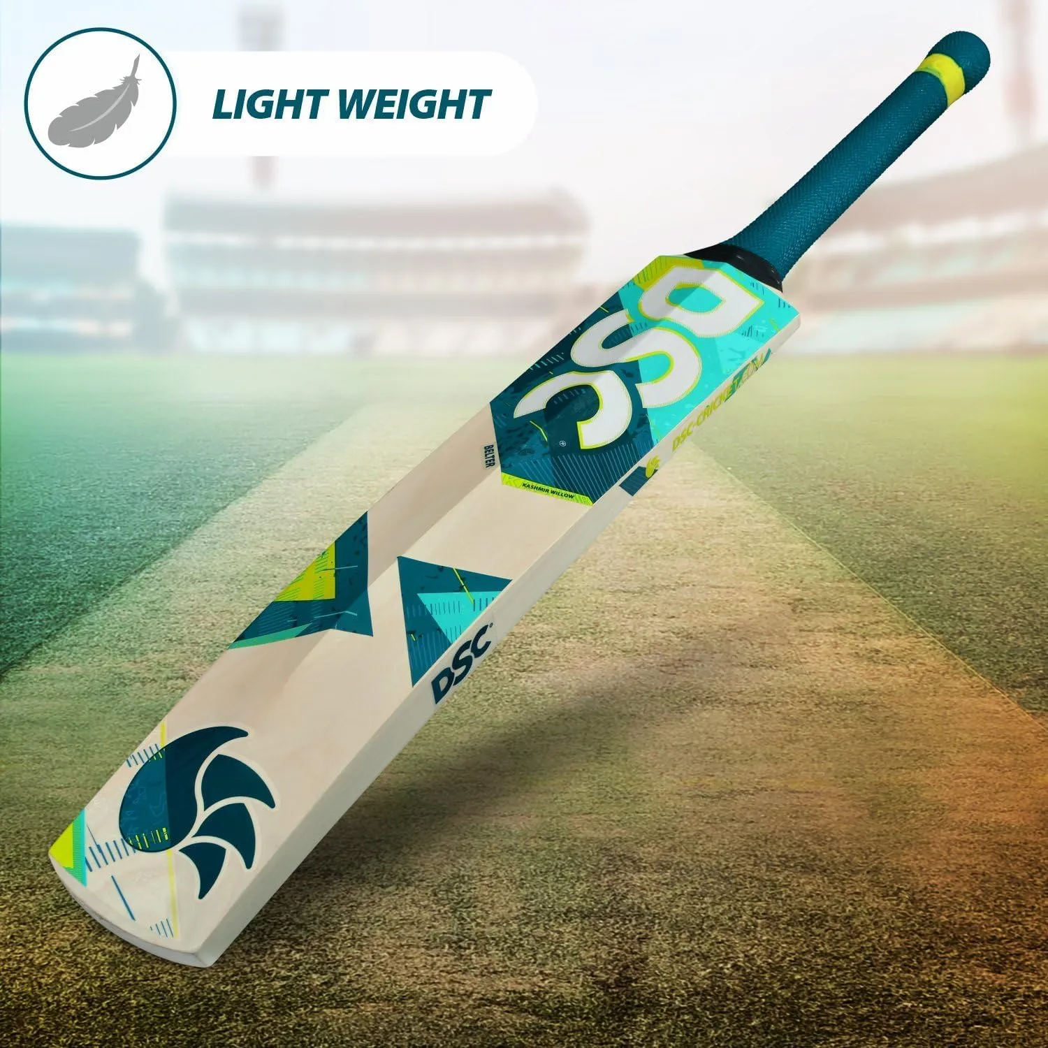DSC Kashmir Willow Cricket Bat