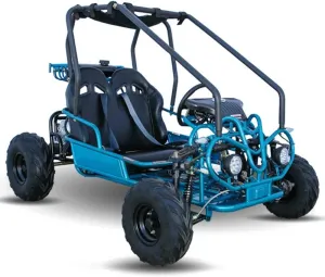 HHH Kids and Children Gk110 mid Size 125cc Fully Automatic Go Kart Kandi Mini Raptor, Kd-125 with Reverse (Blue) - Medium