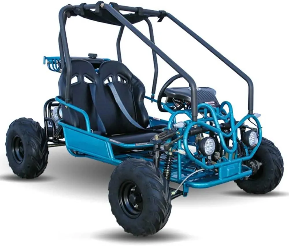 HHH Kids and Children Gk110 mid Size 125cc Fully Automatic Go Kart Kandi Mini Raptor, Kd-125 with Reverse (Blue) - Medium