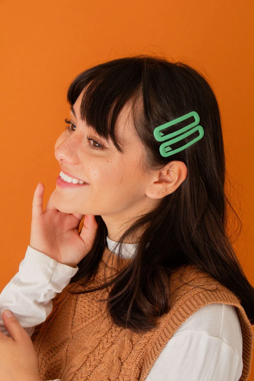 Matte Snap Clip 2-Pack