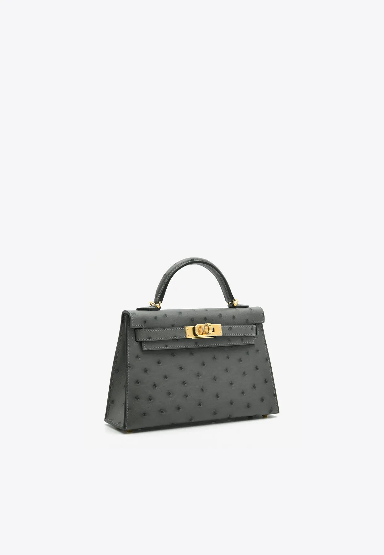 Mini Kelly 20 in Gris Meyer Ostrich Leather with Gold Hardware