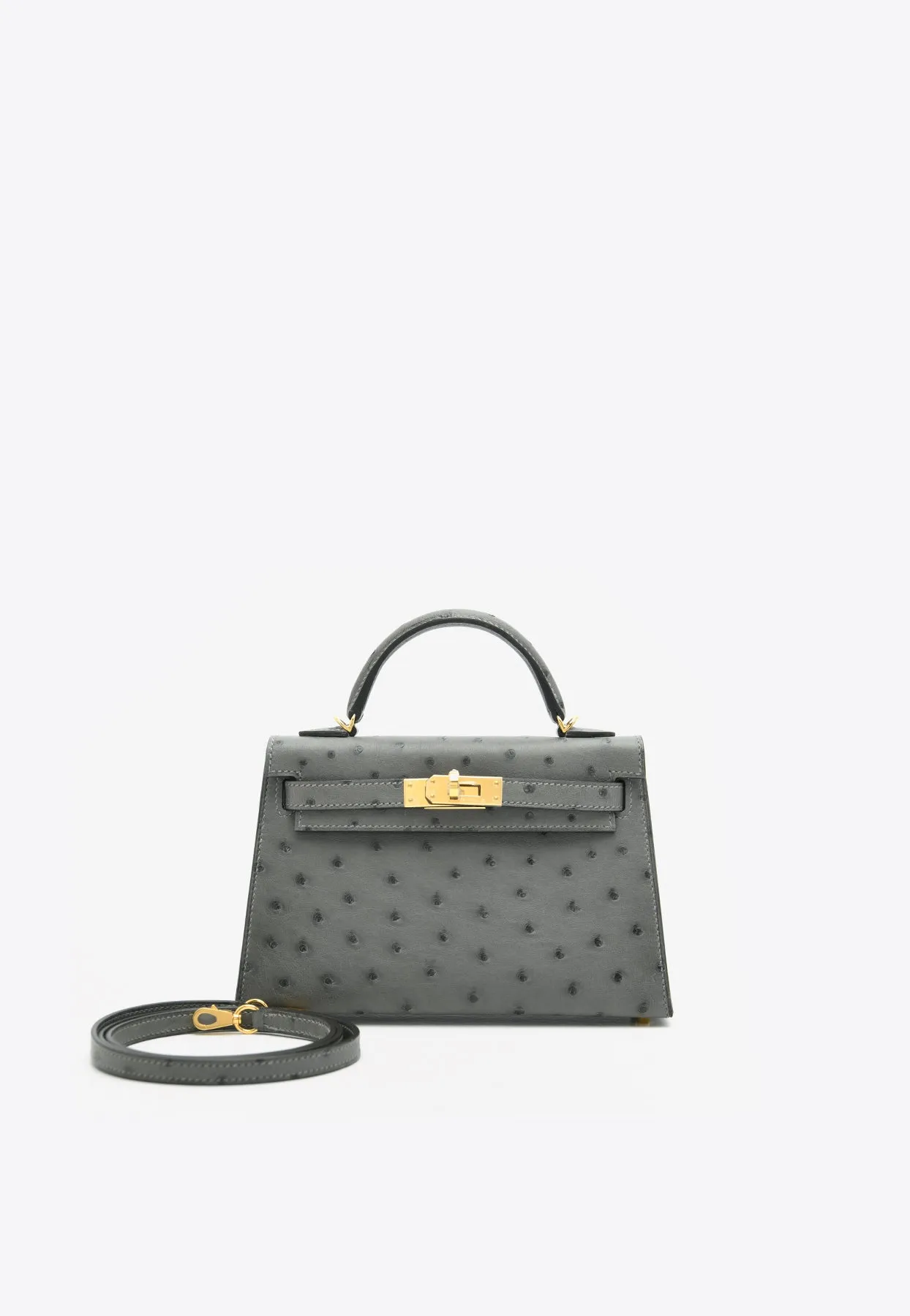 Mini Kelly 20 in Gris Meyer Ostrich Leather with Gold Hardware