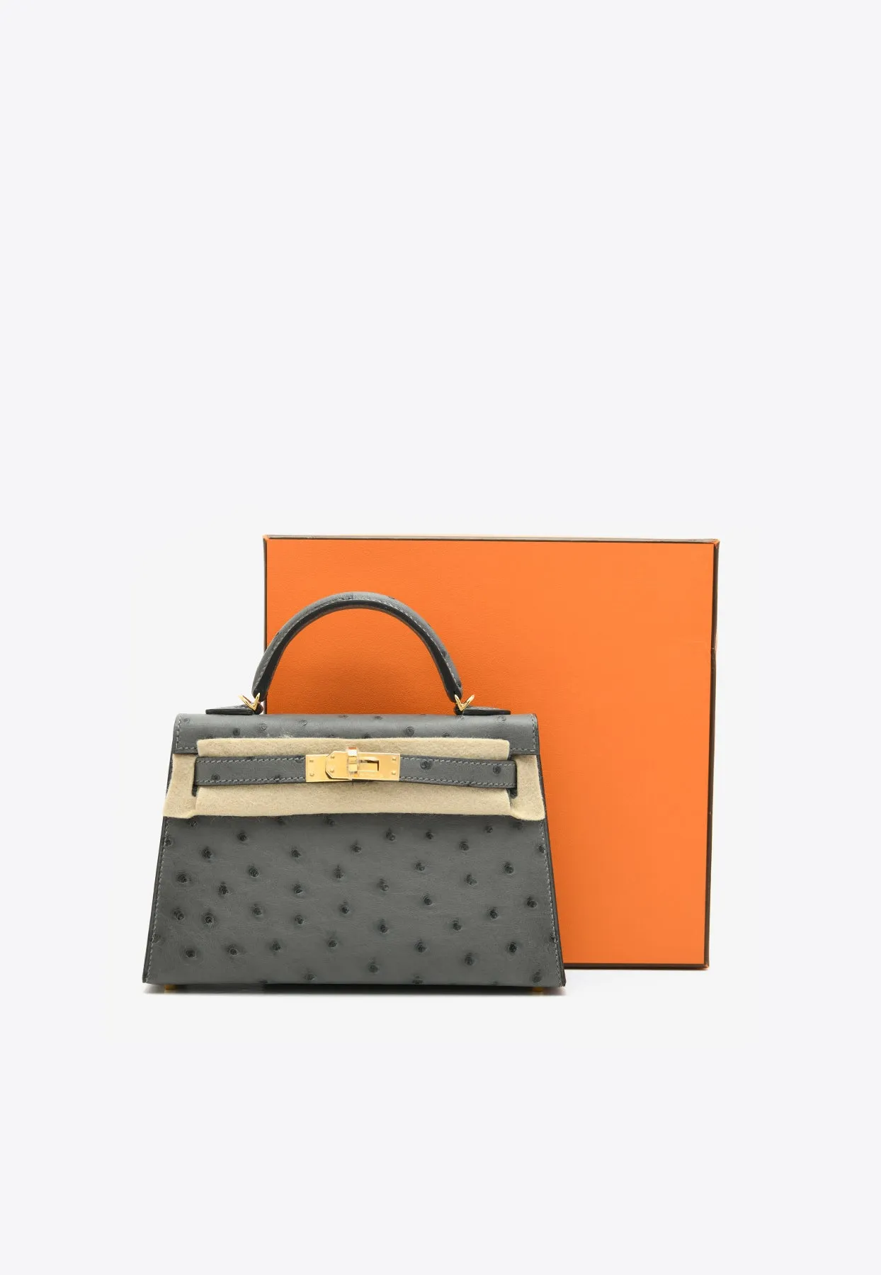 Mini Kelly 20 in Gris Meyer Ostrich Leather with Gold Hardware