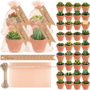 MTLEE 48 Pcs Succulent Cactus Candles Set Mini Tealight Candles Baby Shower Cactus Plant Decorations with Mini Terracotta Clay Gift Tags Organza Bags for Birthday Wedding Party Favors
