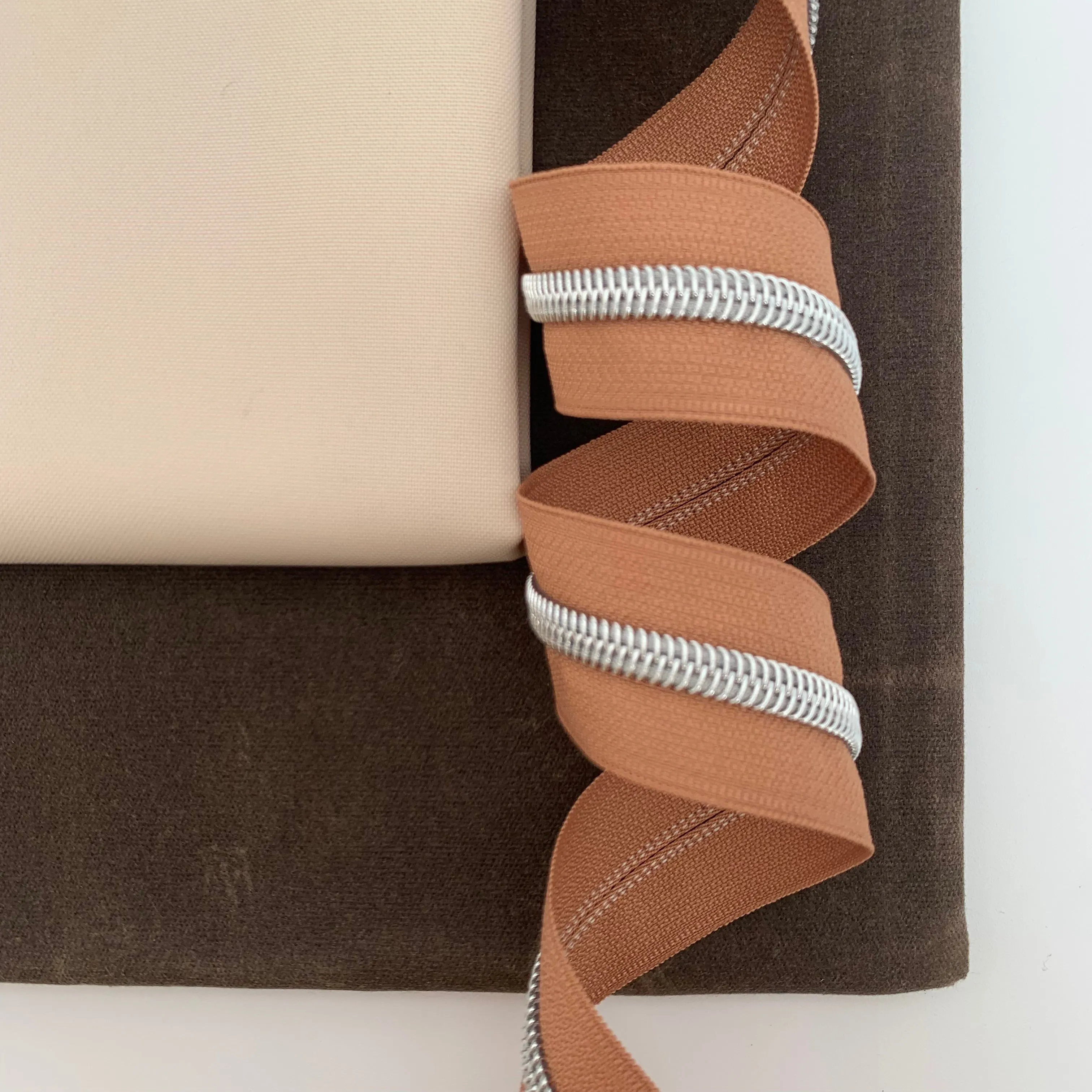 Salmon Silver