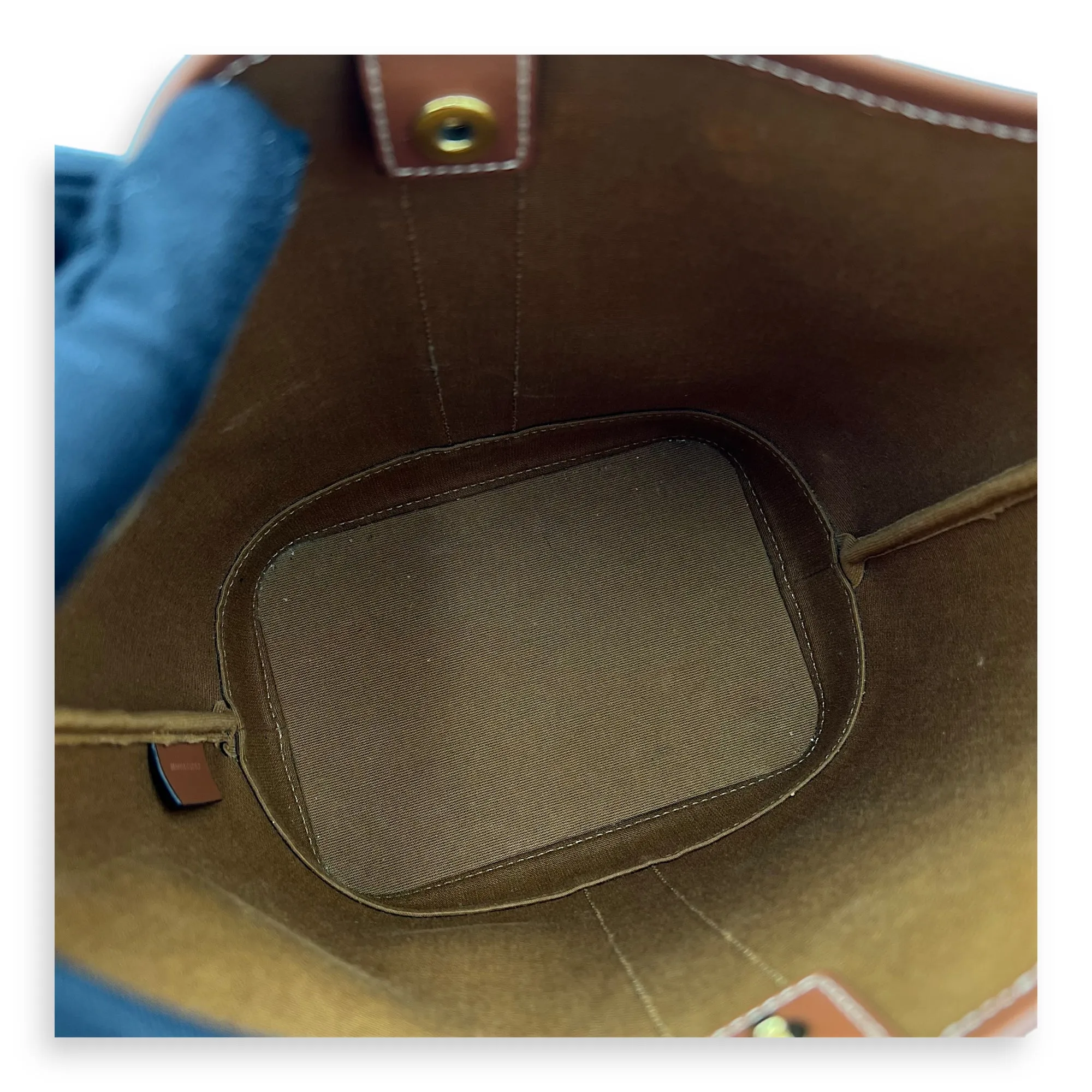 Triomphe Bucket Bag Brown in Coated Canvas, Gold hardware