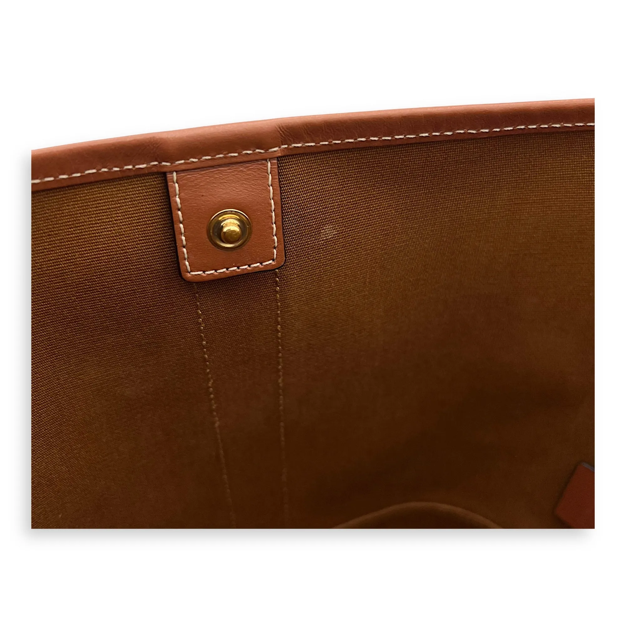 Triomphe Bucket Bag Brown in Coated Canvas, Gold hardware