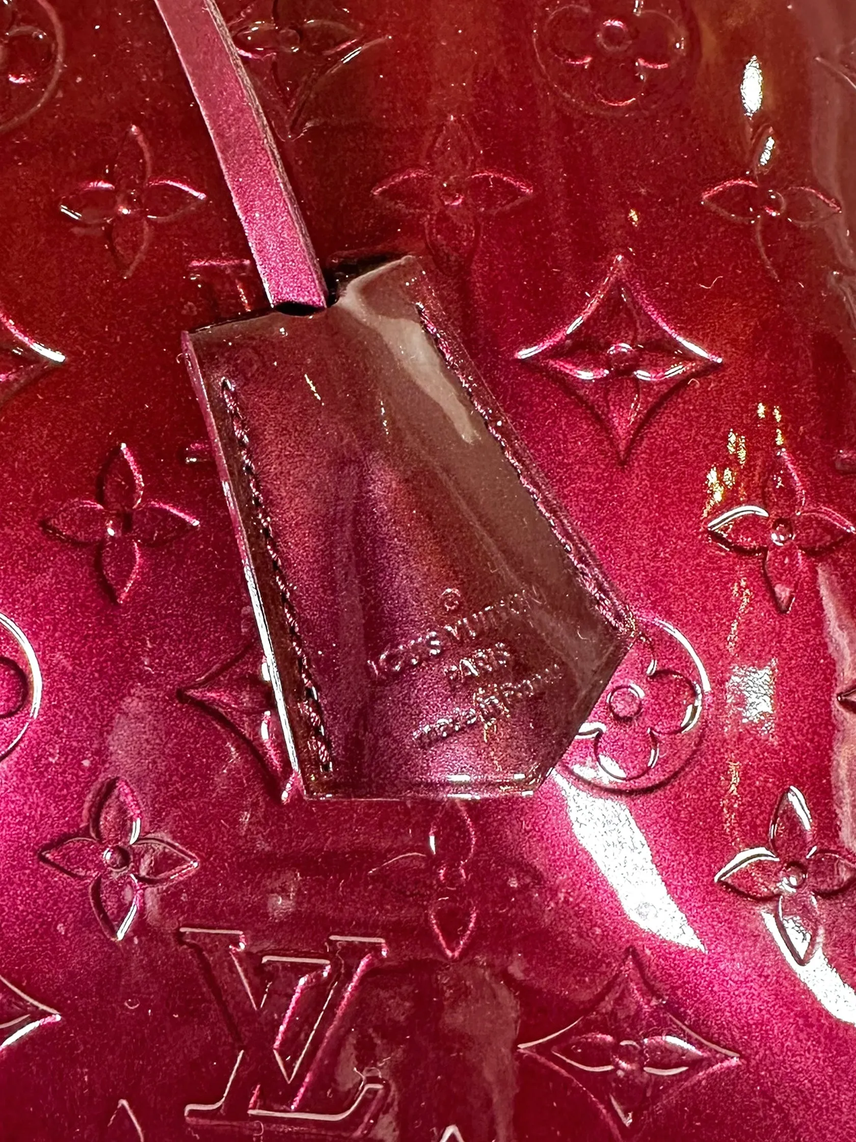 Vernis Alma GM Bag