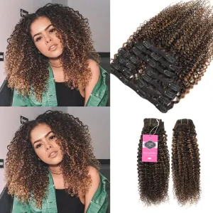YAMI Kinky Curly Clip in Hair Extensions Clips Triple Weft Brazilian Remy Human Hair 3C 4A Curly Clip in Extensions Afro Kinky Curly Clip ins (P4/30, 16inch)